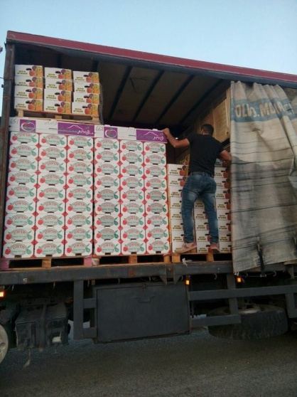 ضبط 2 طن عنب مهرب من اسرائيل