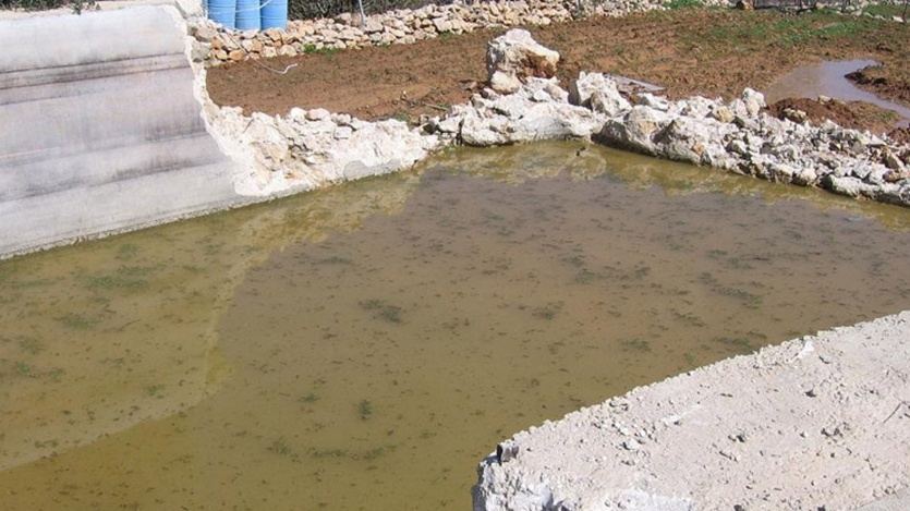 العثور على جثة طفل في بركة مياه جنوب الخليل