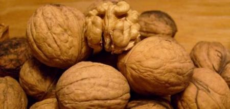 فوائد مذهلة للجوز تعرف عليها 