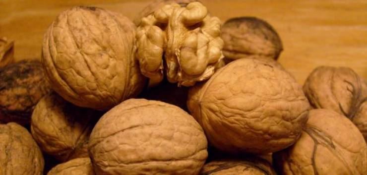 فوائد مذهلة للجوز تعرف عليها 