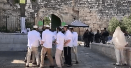 مستوطنون يؤدون رقصات استفزازية في باحة باب الاسباط