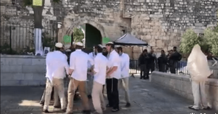 مستوطنون يؤدون رقصات استفزازية في باحة باب الاسباط