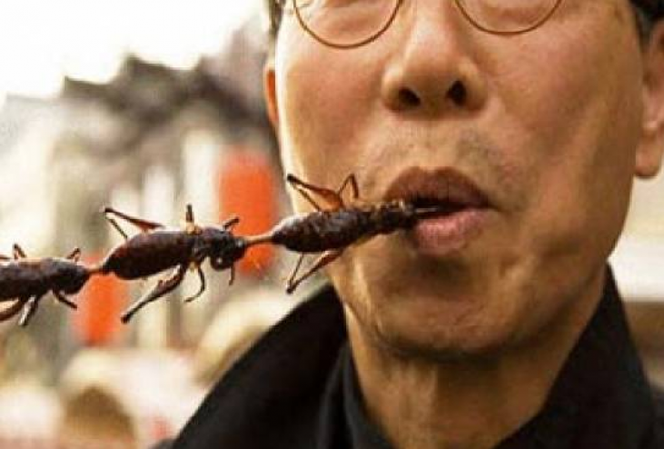 هل تعرف كم حشرة تأكل سنوياً ضمن طعامك؟