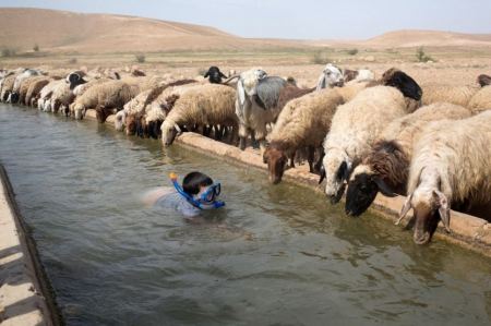الطقس: موجة الحر تبلغ ذروتها