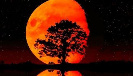 هذا موعدنا مع الظاهرة الفلكية التي ستشهدها سماء فلسطين 