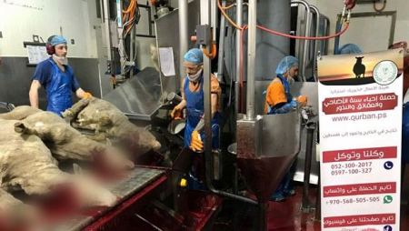 جمعية "البراق" تطلق حملة "إحياء سنة الأضاحي والعقائق والنذور"