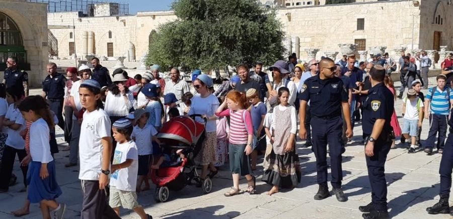 مستوطنون ينفذون اقتحامات واسعة للمسجد الأقصى