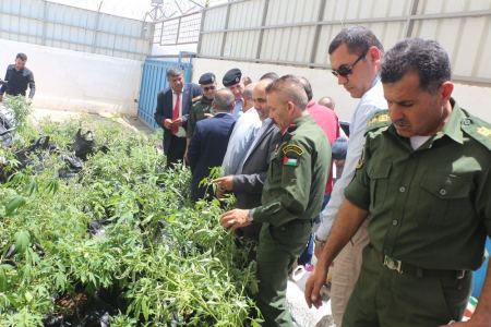 طوباس تُلاحق السموم