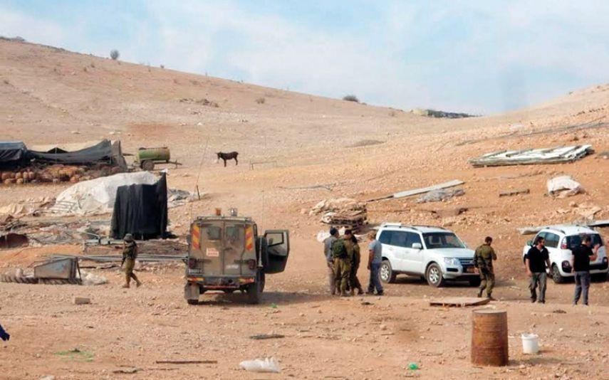 مستوطنون يهاجمون رعاة الاغنام في خلة مكحول بالأغوار
