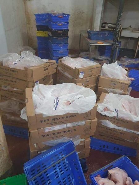  ضبط 2 طن ونصف دجاج مهرب في محافظة قلقيلية
