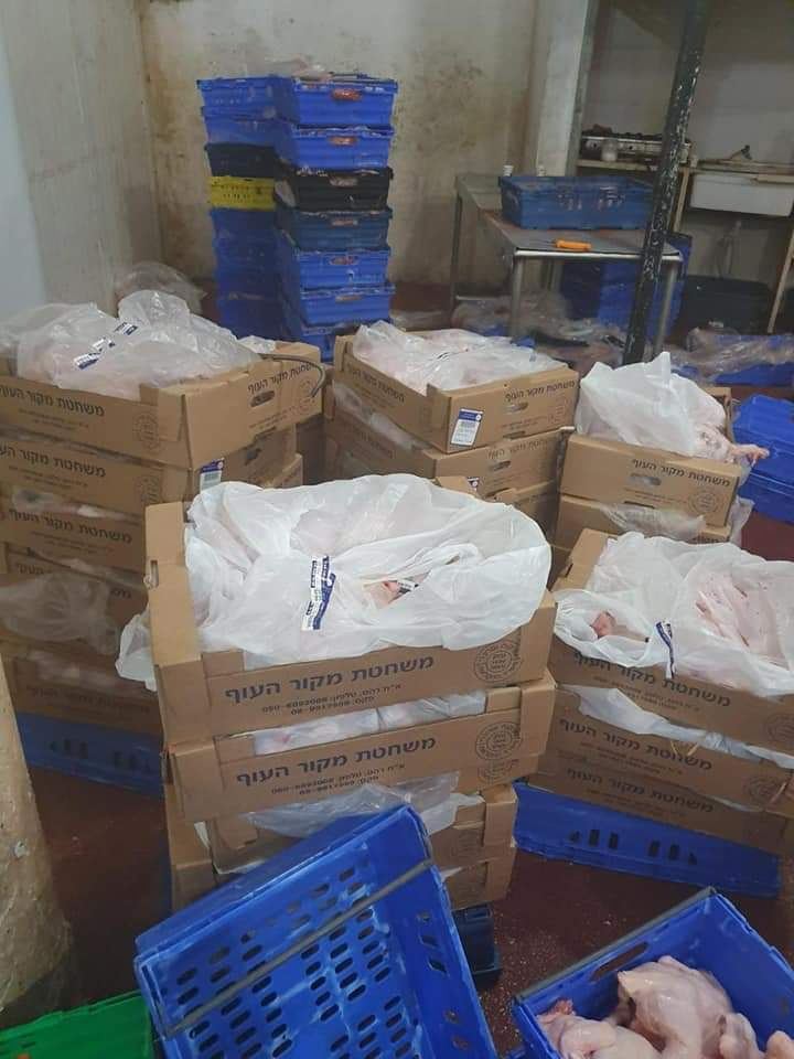  ضبط 2 طن ونصف دجاج مهرب في محافظة قلقيلية