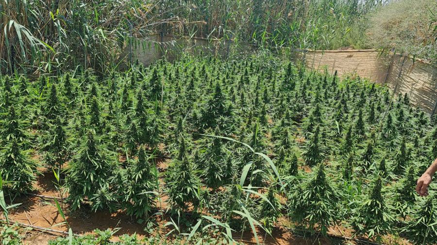 الشرطة تضبط ما يقارب 1 كغم من المخدرات بحوزة تاجر مخدرات في الخليل