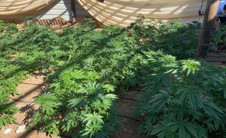 في أقل من 24 ساعة : الشرطة توجه ضربة قاصمة لتجار المخدرات 