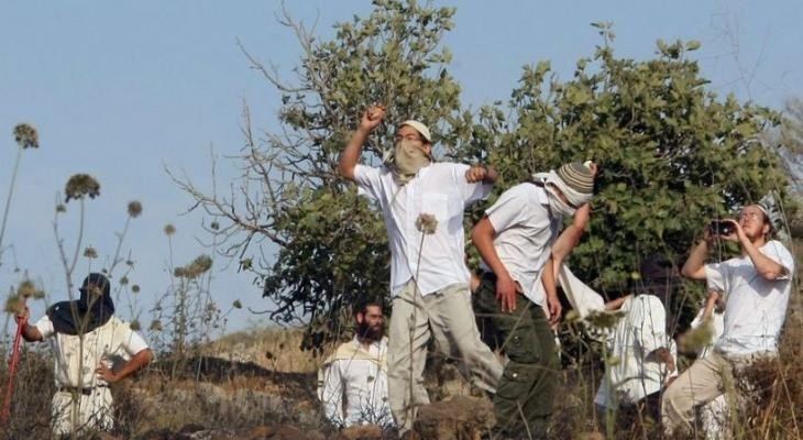 مستوطن يهاجم طالبتين ويرشهما بغاز الفلفل في حوارة