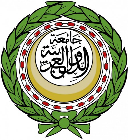 الجامعة العربية تطالب بحماية أطفال فلسطين