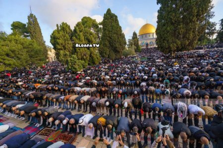 35 ألف مصل يؤدون صلاة الجمعة في المسجد الأقصى المبارك