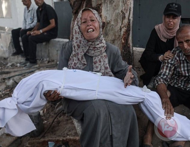 في غضون 24 ساعة: 53 شهيدا بنيران وغارات الاحتلال على قطاع غزة