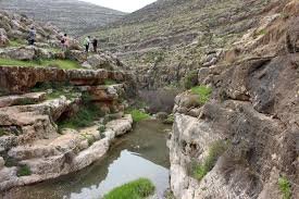 مصلحة وسلطة المياه تحذران من تبعات هجمات المستوطنين على "عين سامية"