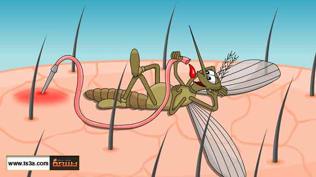 وداعاً للسعات البعوض المزعجه