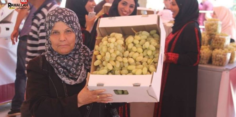 اختتام فعاليات أيام العنب الفلسطيني في جنين
