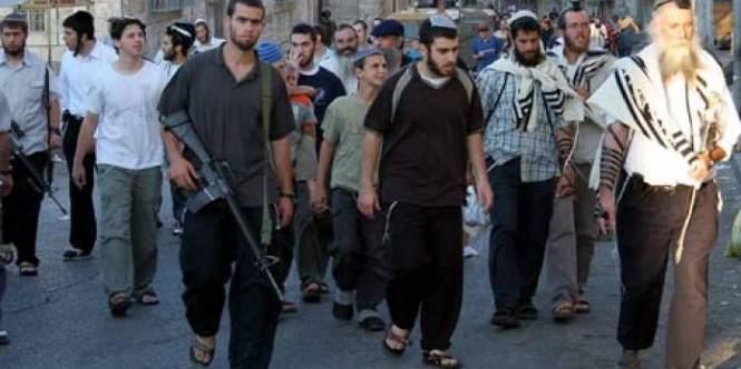 مستوطنون يهاجمون المنازل بحارتي جابر والسلايمة بالخليل