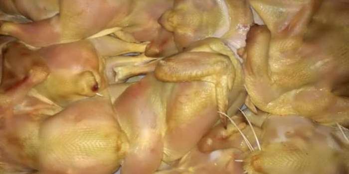 اتلاف 2 طن ونصف دجاج غير صالحة للاستهلاك الادمي في جنين