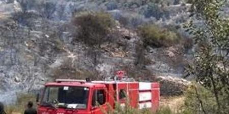 الدفاع المدني يخمد حريقاً طال أشجار زيتون جنوب جنين