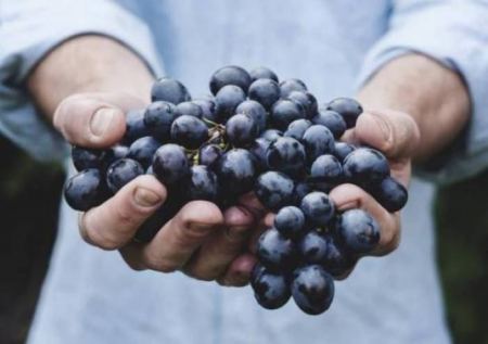  هذه الفاكهة هي اكسير الشباب الدائم .. تناولها كل صباح لتستعيد شبابك