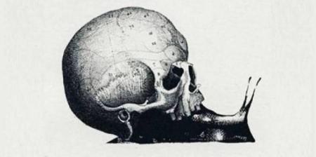 ما الذي تراه أوّلاً في الصورة؟.. إجابتك ستحدد معالم شخصيتك