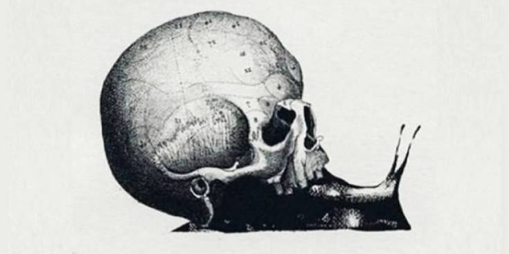 ما الذي تراه أوّلاً في الصورة؟.. إجابتك ستحدد معالم شخصيتك