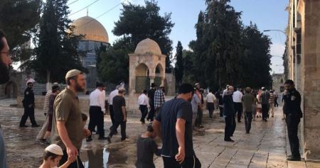 190 مستوطنًا يقتحمون الأقصى بحراسة مشددة