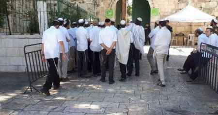دعوات لاقتحامات واسعة للأقصى الشهر المقبل