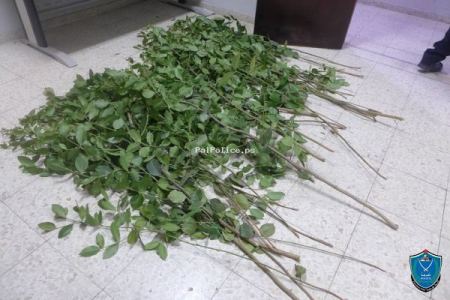 الشرطة تقبض على شخص بحوزته مواد يشتبه أنها مخدرة في جنين