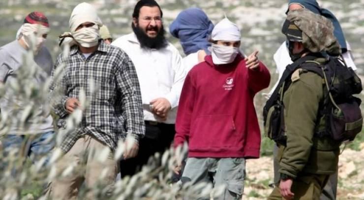 مستوطنون يعتدون على مواطنين ويحرقون مركبتين في الأغوار