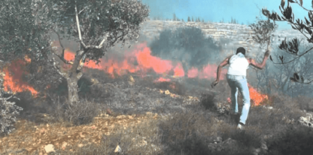  الاحتلال يتسبب باحتراق 14 دونما في المغير ومستوطنوه يرشون الأراضي بالسموم
