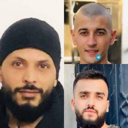 الإحتلال يعتقل ثلاثة شبان من مخيم جنين