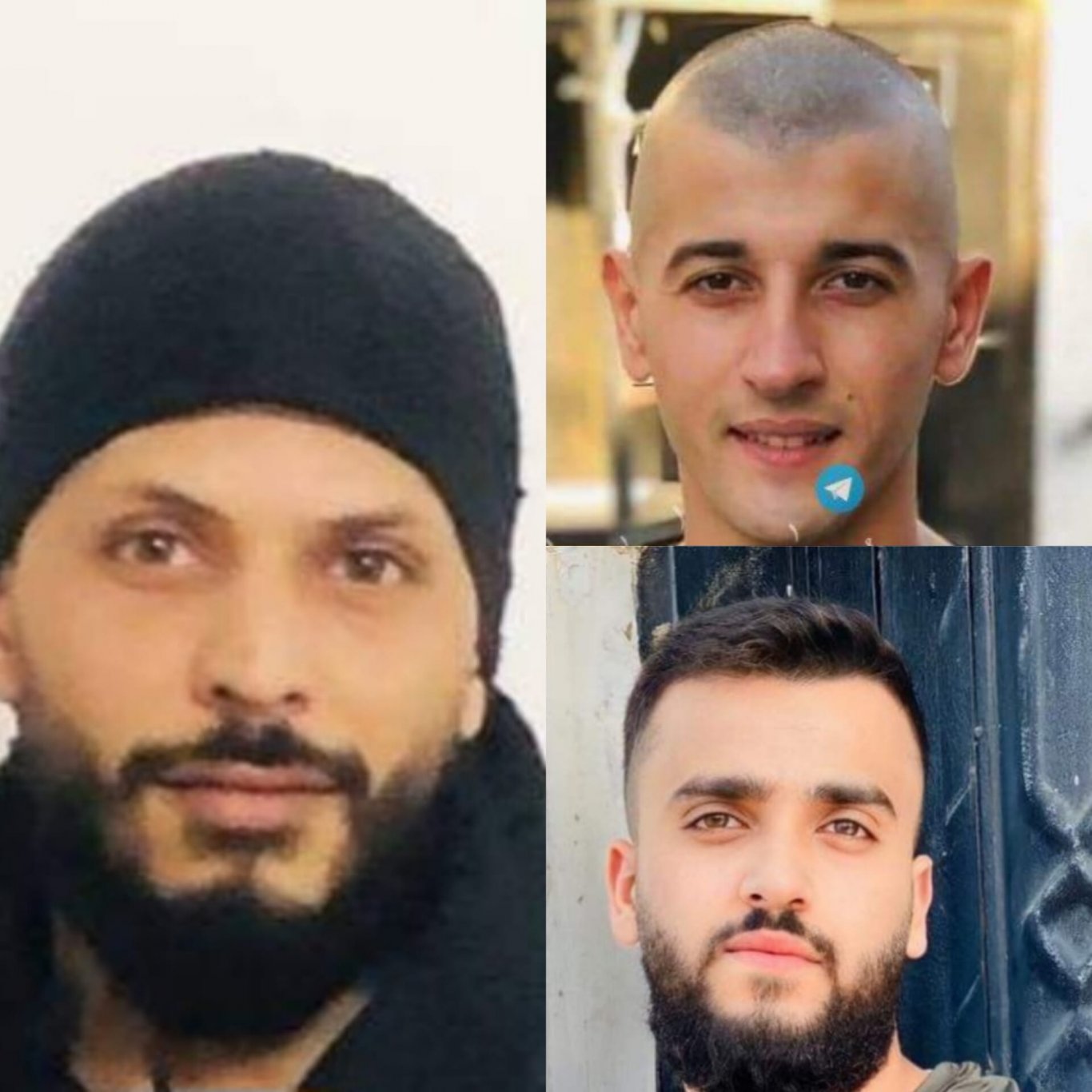 الإحتلال يعتقل ثلاثة شبان من مخيم جنين
