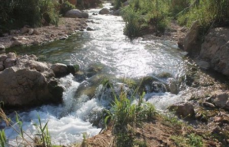 مستعمرون يقتحمون قرية شلال العوجا شمال أريحا