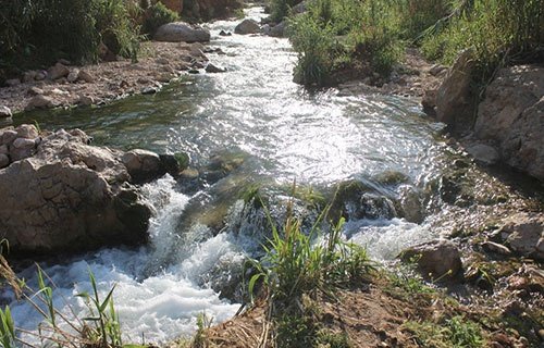 مستعمرون يقتحمون قرية شلال العوجا شمال أريحا