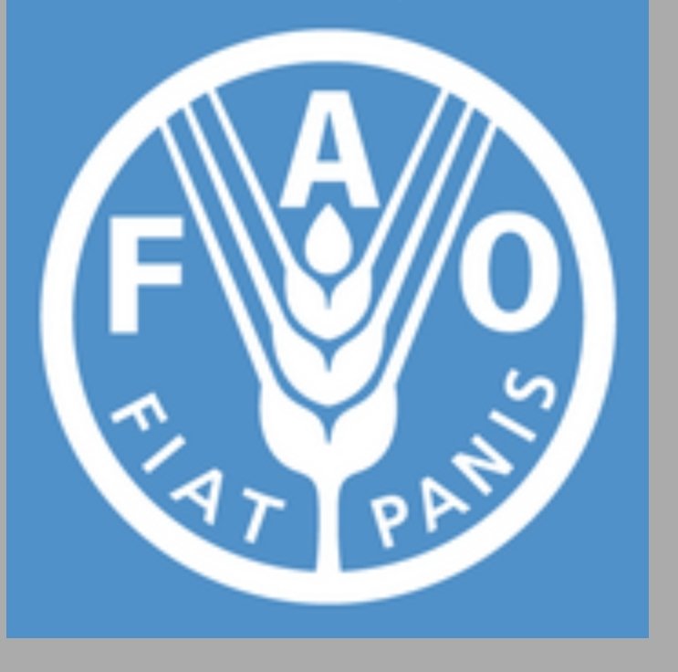 الفاو: ارتفاع أسعار الغذاء العالمية في آذار الماضي بسبب الحرب