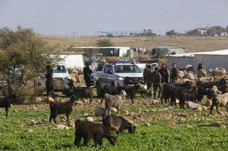 بتسيلم": 47 عائلة فلسطينية تواجه خطر التهجير الوشيك في الإغوار