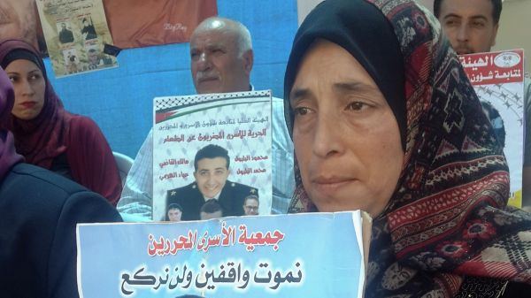 أم مالك تناشد.. وفارس يدعو لاستغلال ورقة التنسيق