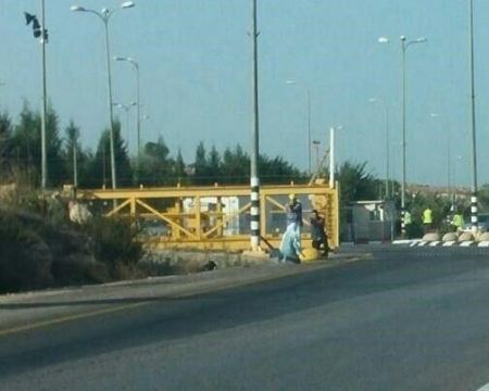 نادي الأسير: قرار بالإفراج عن الطفلة الجريحة عويصي