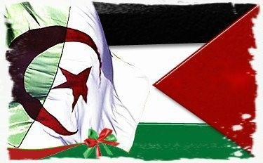 الجزائر تعد بدعم فلسطين في المجال الطبي