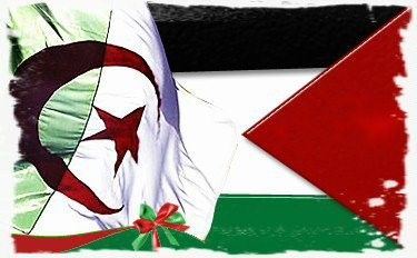الجزائر تعد بدعم فلسطين في المجال الطبي