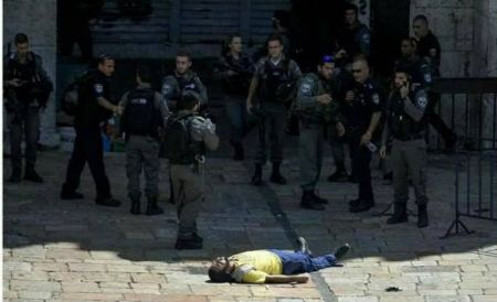 شاهد بالفيديو لحظة اعدام الشهيد الاردني العمرو في القدس