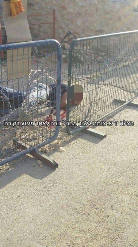 عاجل: عملية طعن جديدة في الخليل واصابة المنفذ 