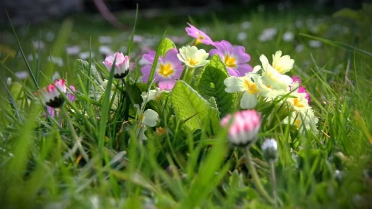 الاحوال الجوية