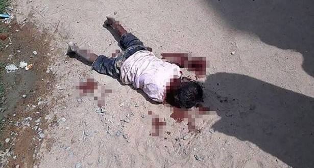  كلابٌ تنهشُ طفلاً بوحشية.. والمارة يكتفون بتصويره