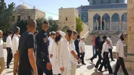 عشرات المستوطنين يقتحمون باحات الأقصى